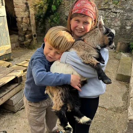 Unique Farmstay&therapy Goats To Hug Séjour chez l'habitant Bristol