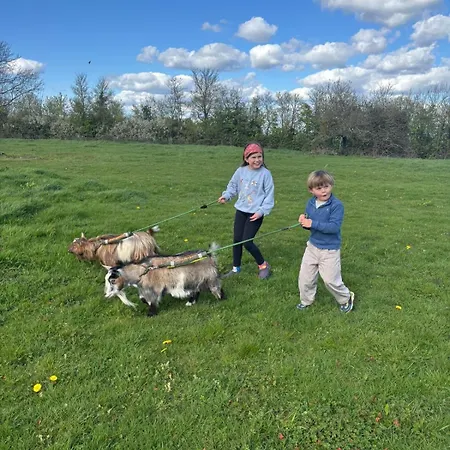 Séjour chez l'habitant Unique Farmstay&therapy Goats To Hug