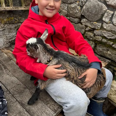 Séjour chez l'habitant Unique Farmstay&therapy Goats To Hug Bristol