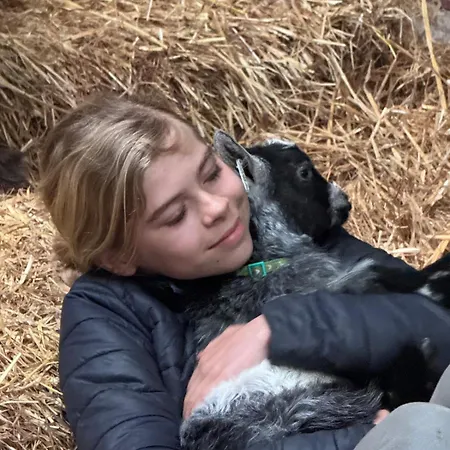 Unique Farmstay&therapy Goats To Hug Séjour chez l'habitant