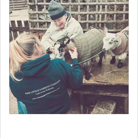 Séjour chez l'habitant Unique Farmstay&therapy Goats To Hug